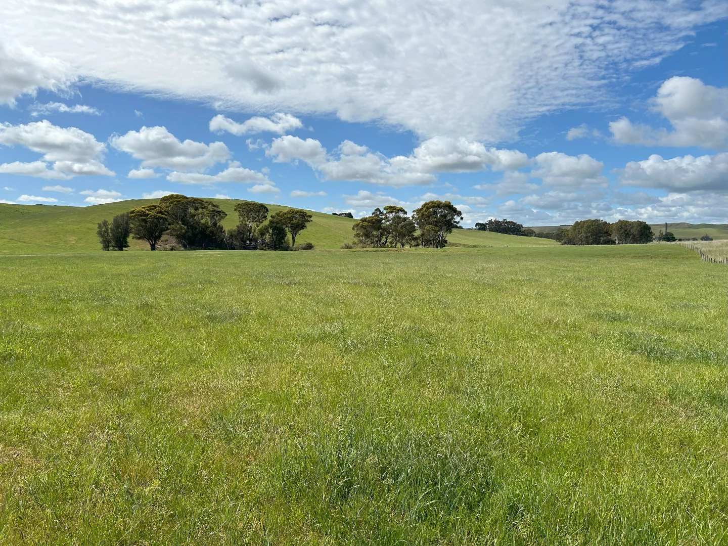 Additional image 7 of Cnr Glenelg Highway and Denhills Road, Coleraine VIC 3315