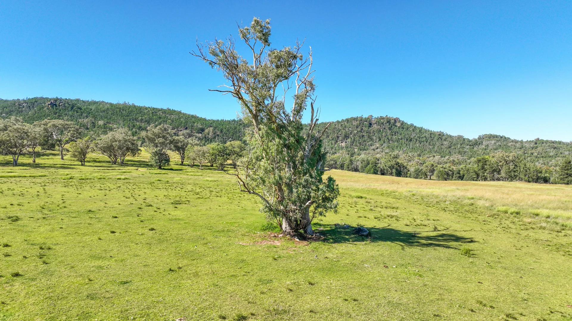 Additional image 20 of 2174 New England Highway, Moonbi NSW 2353