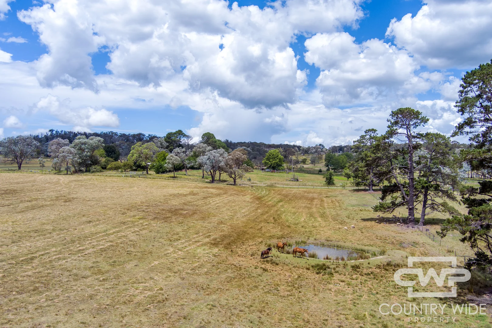 Additional image 34 of 1651 Shannon Vale Road, Shannon Vale NSW 2370