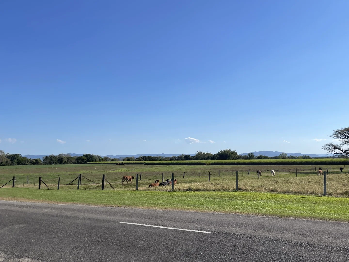 Additional image 28 of 4 Marina Parade, Ingham QLD 4850