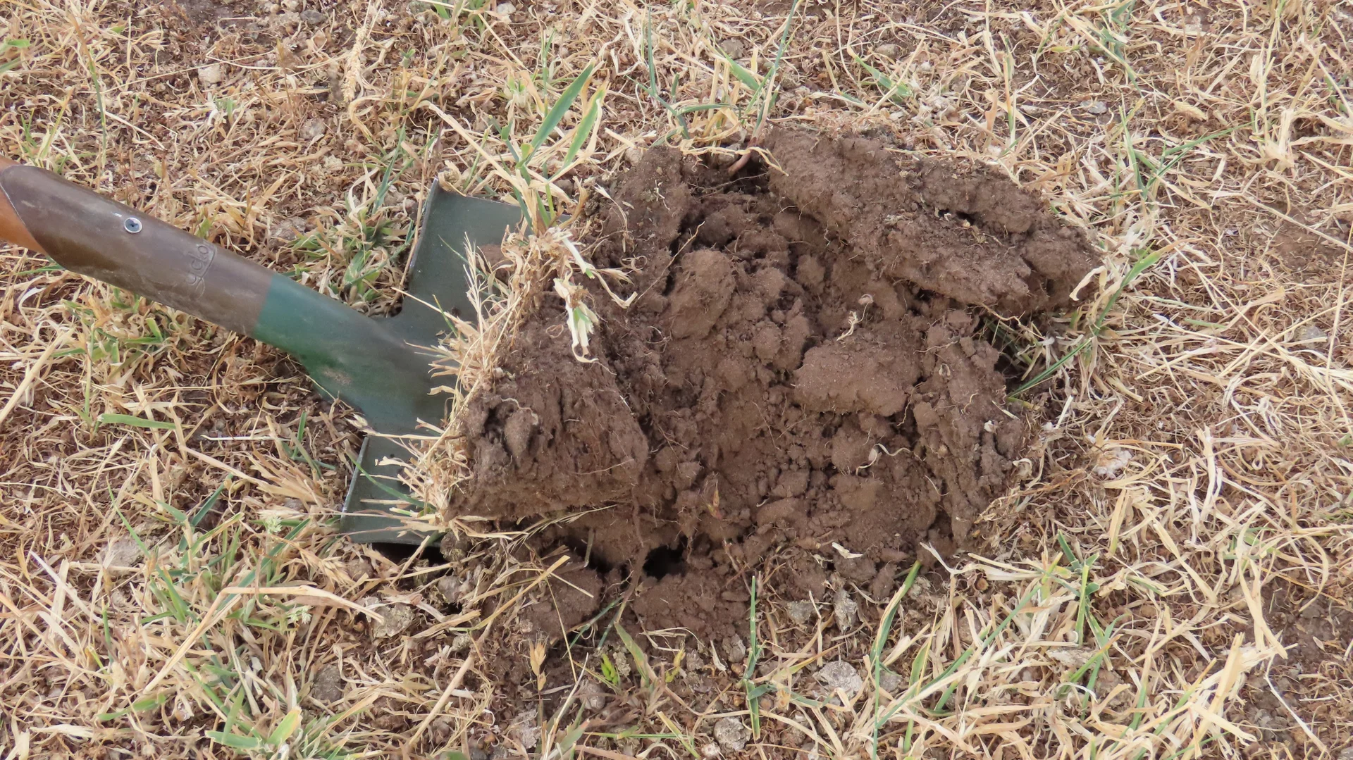 Additional image 23 of 110 Coote Rd, Moerlong SA 5278