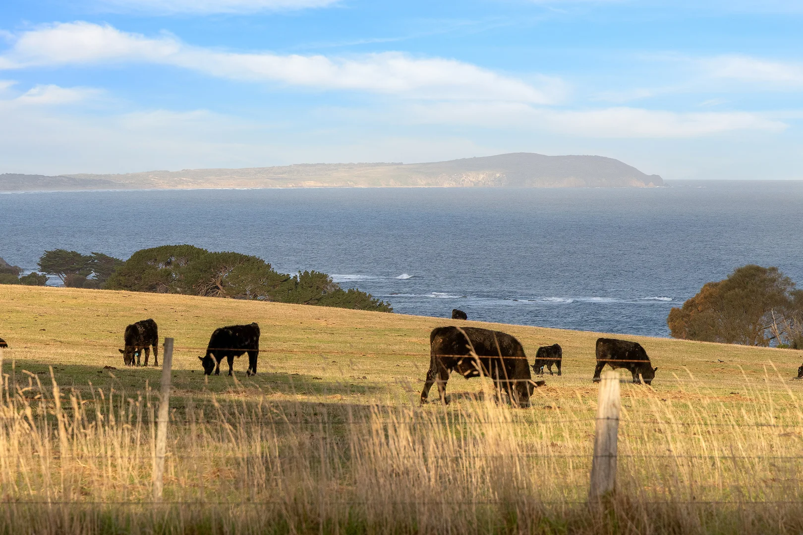 Additional image 2 of 225 Gap Road, Ventnor VIC 3922