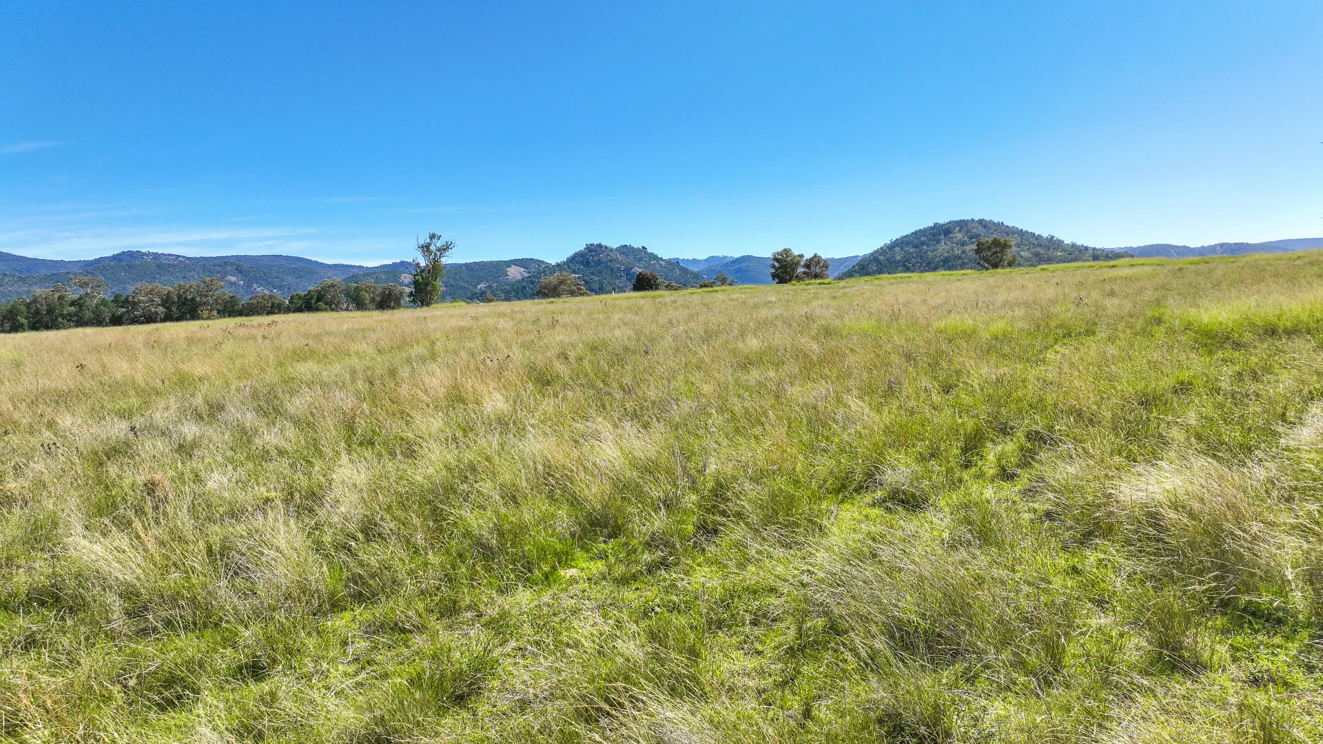 Additional image 19 of 2174 New England Highway, Moonbi NSW 2353