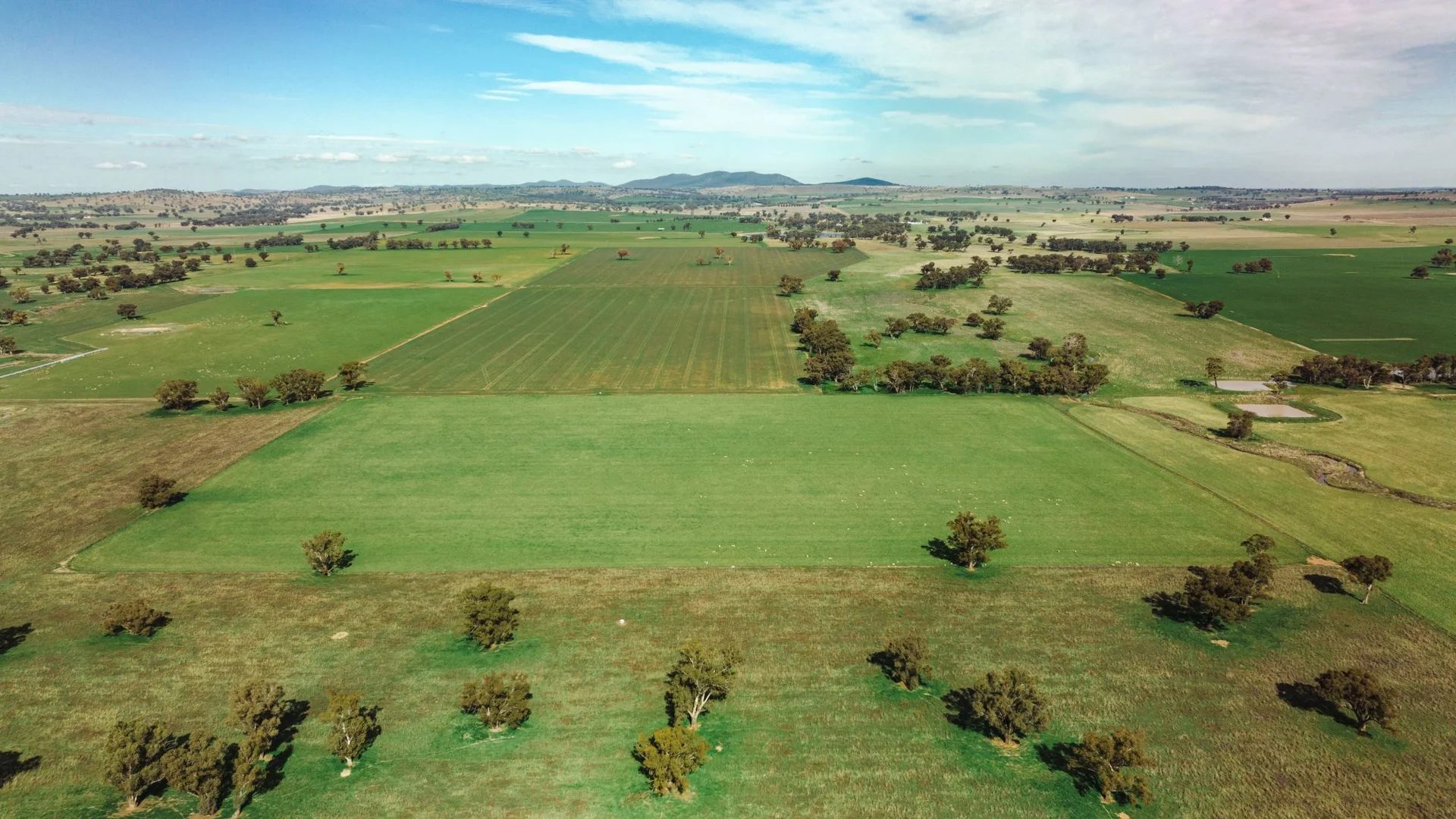 Additional image 6 of 1679 Stockinbingal Road, Cootamundra NSW 2590