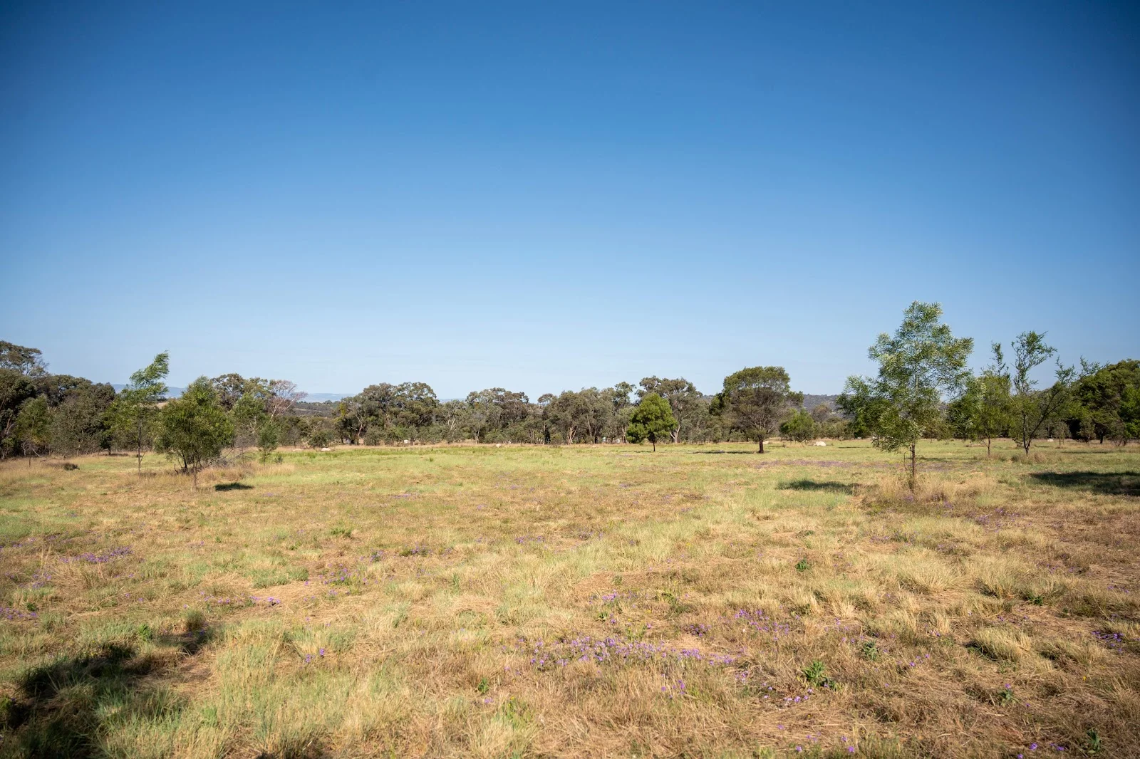 Additional image 8 of Lot 8 & 43 Edens Chase, Rosenthal Heights QLD 4370