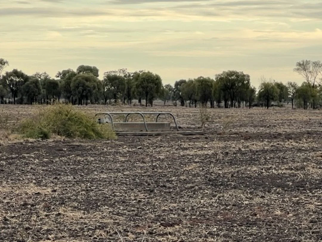 Additional image 8 of "Duffs Lea", Rowena NSW 2387