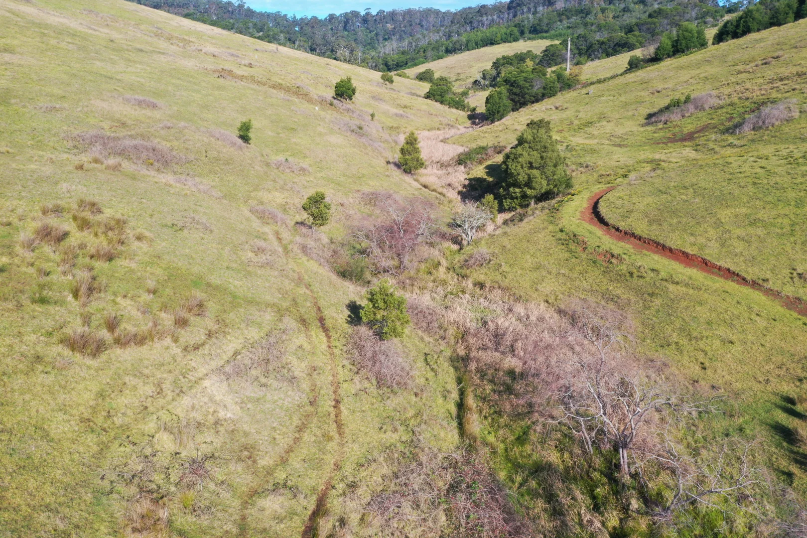 Additional image 25 of Lot 23 Fourter Road, Nethercote NSW 2549