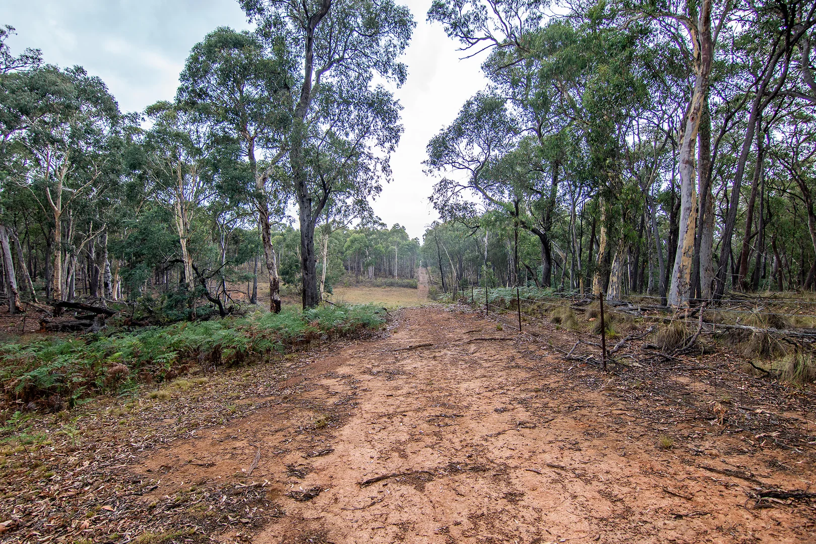 Additional image 13 of 859 Bonds Road, Mudgee NSW 2850