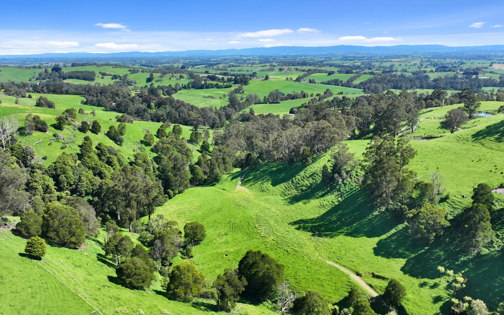 Additional image 24 of 196 Peters Road, Ellinbank VIC 3821