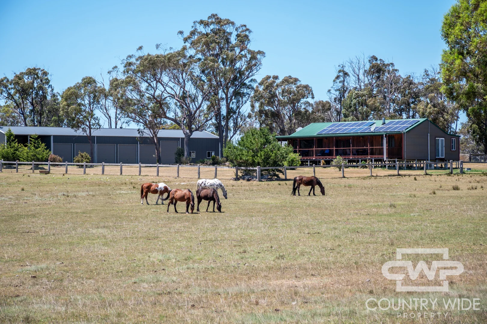 Additional image 5 of 954 Bullock Mountain Road, Glen Innes NSW 2370
