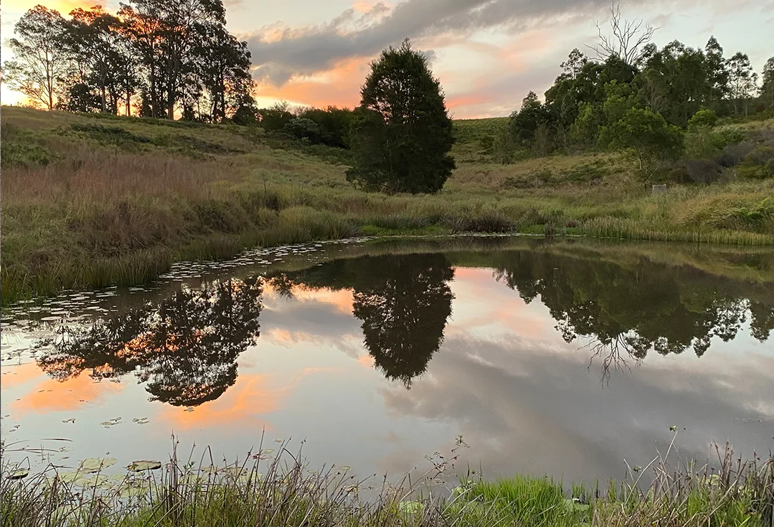 Additional image 6 of 212A Norries Road, Bunyah NSW 2429