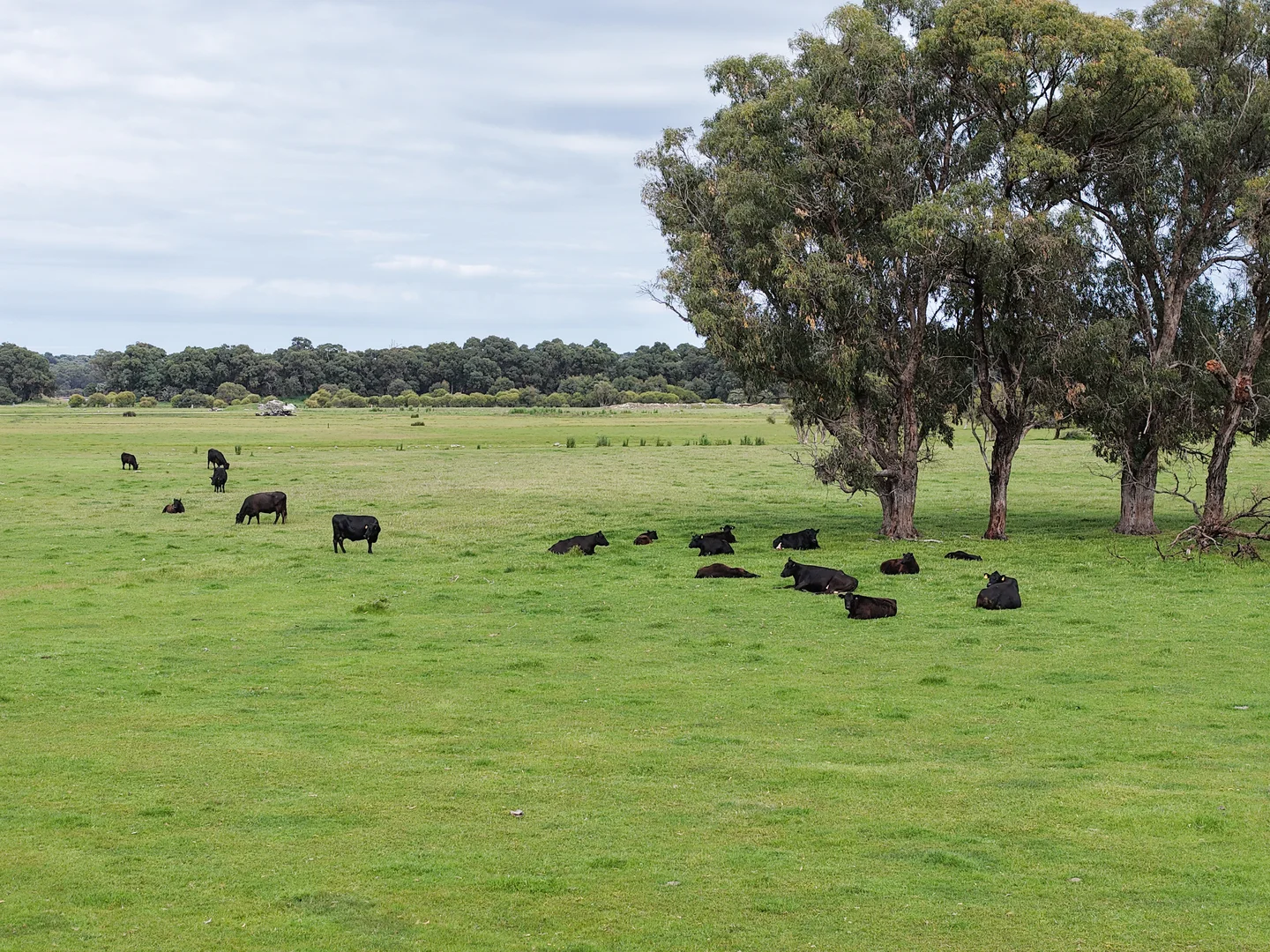 Additional image 6 of 1498, 1504 Harris Road, Myalup WA 6220