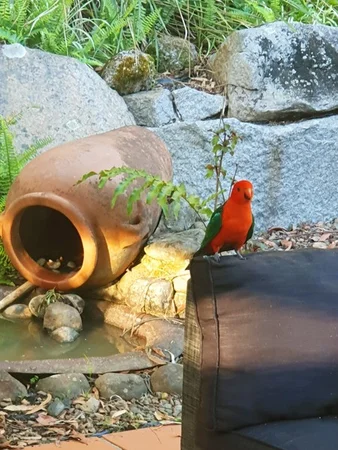 Additional image 32 of 21-29 Fryar Road, Logan Village QLD 4207