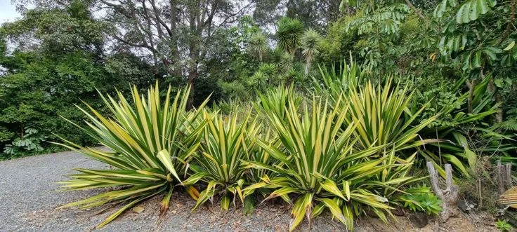 Additional image 10 of 53 Gurrinyah drive, Stokers Siding NSW 2484