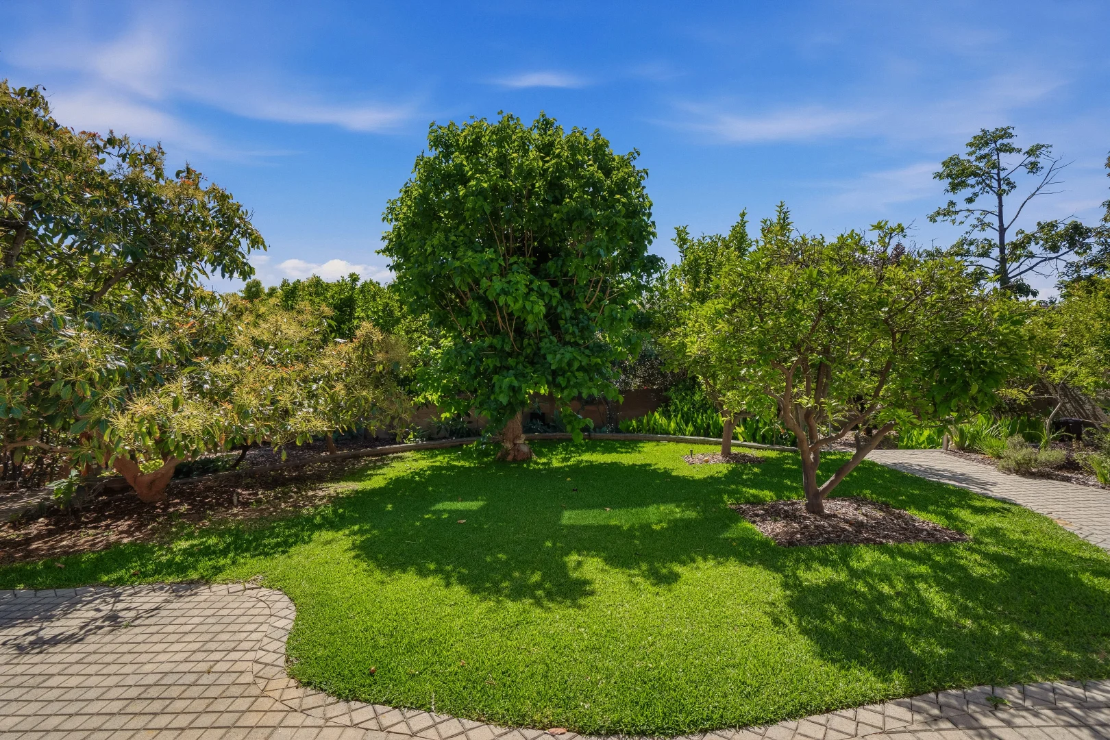 Additional image 33 of 64 Thomas Street, Nedlands WA 6009