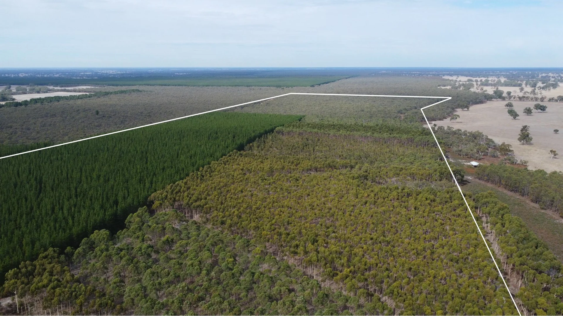 Additional image 6 of Lot 1 Jim Ryans Road, Edenhope VIC 3318