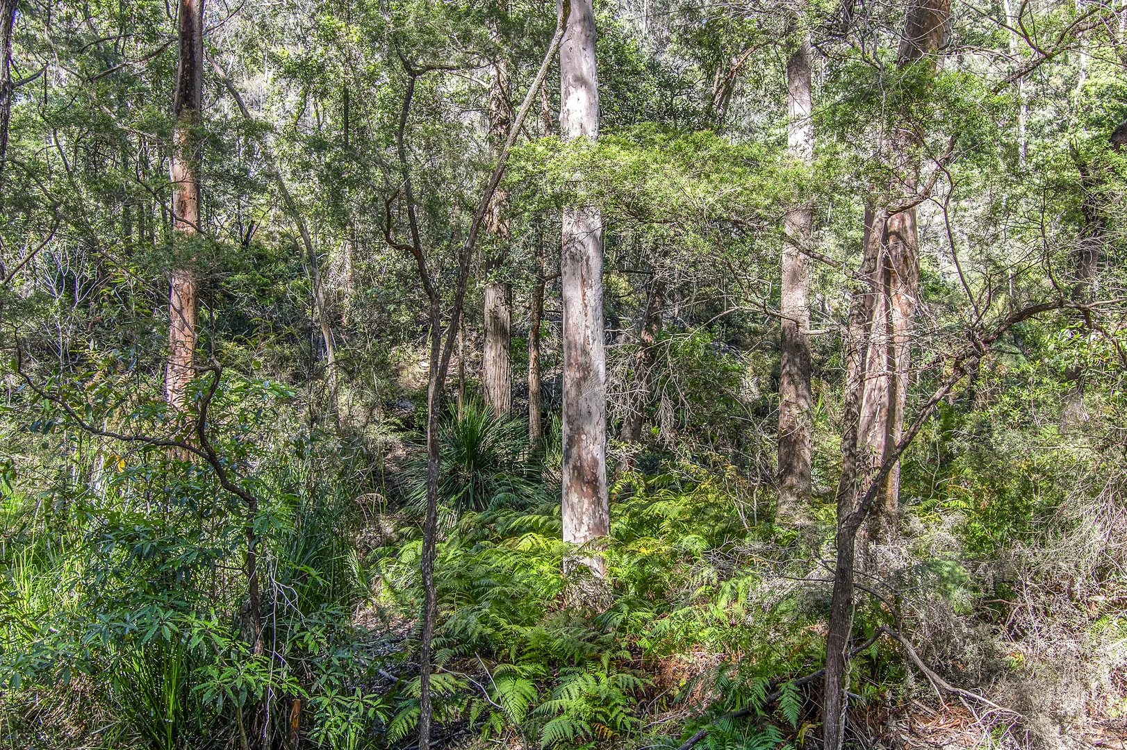 Additional image 10 of 167 Burralow Road, Kurrajong Heights NSW 2758