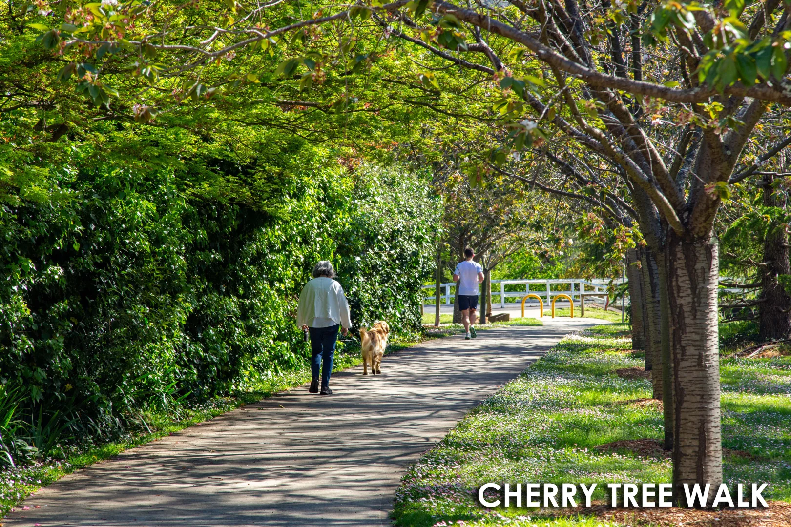 Additional image 20 of 23 Merrigang Street, Bowral NSW 2576