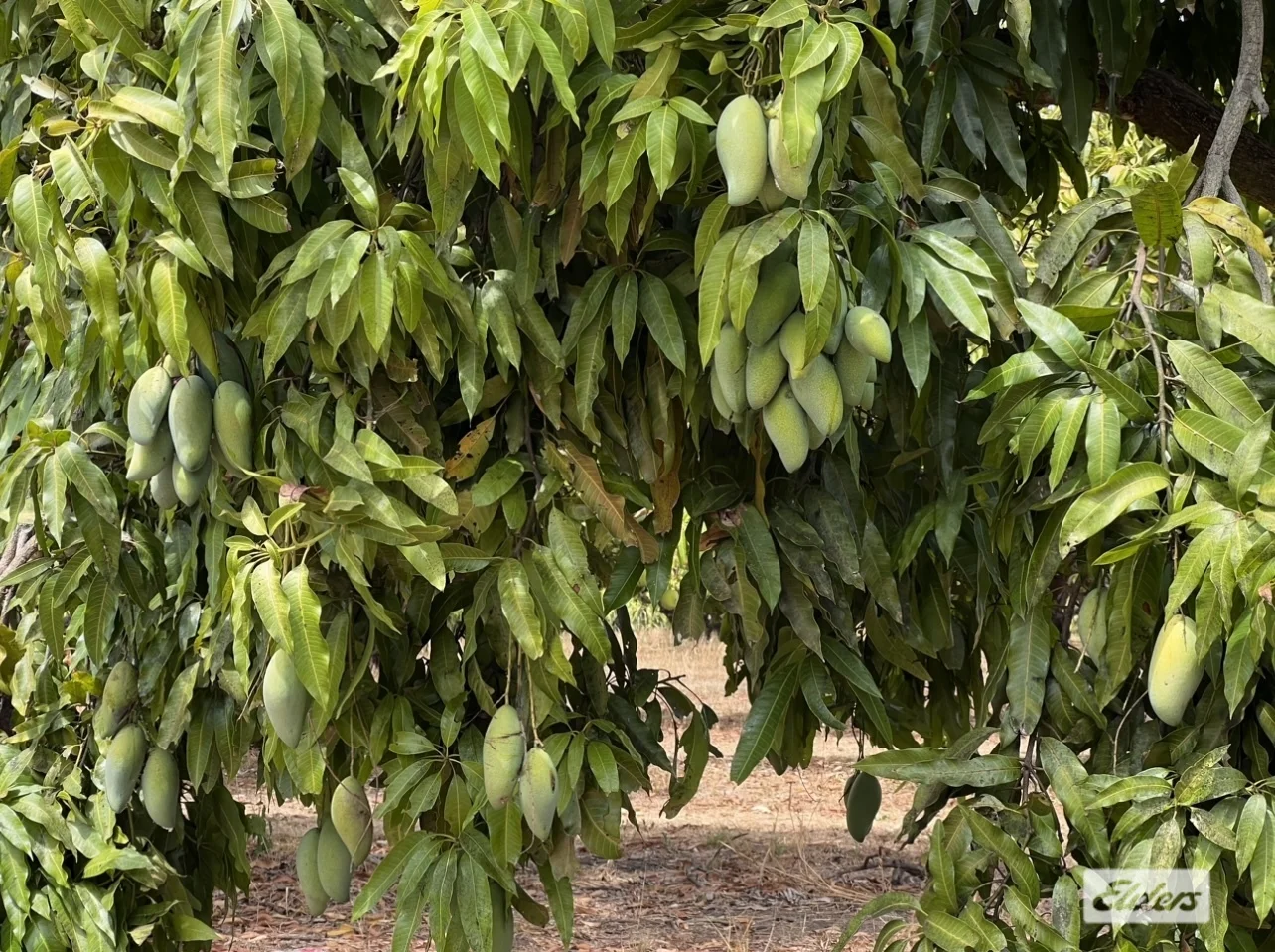 Additional image 29 of 125 Buckley Road, Lambells Lagoon NT 0822