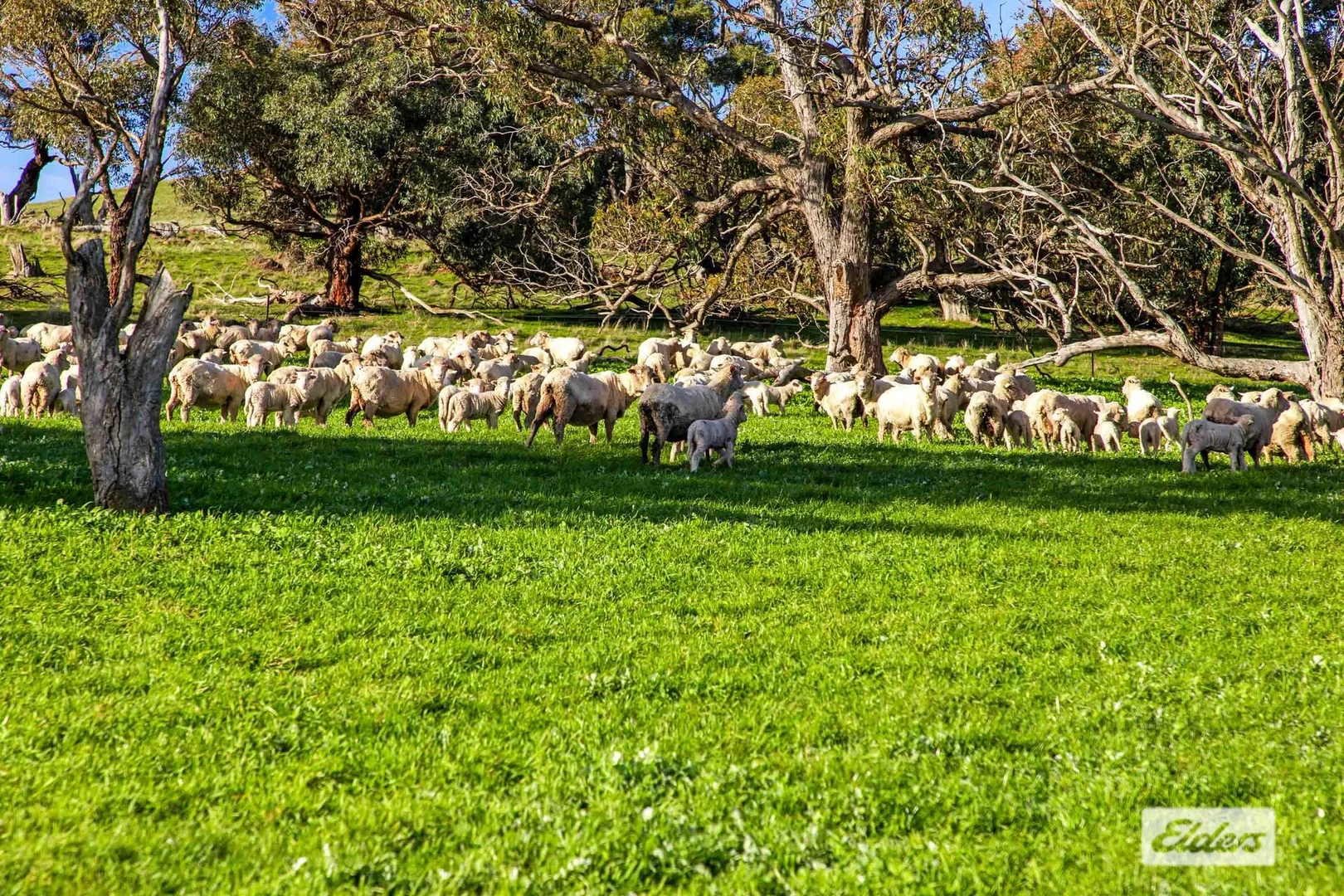 Additional image 25 of Warrayadin Road, Ararat VIC 3377