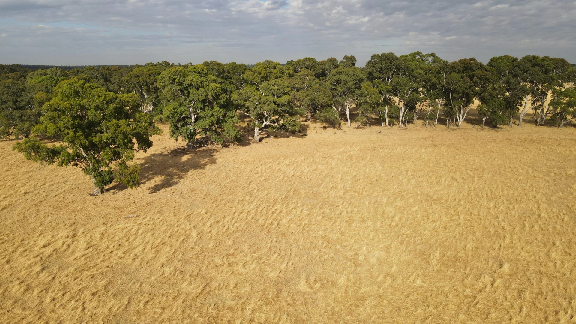 Additional image 8 of 110 Coote Rd, Moerlong SA 5278