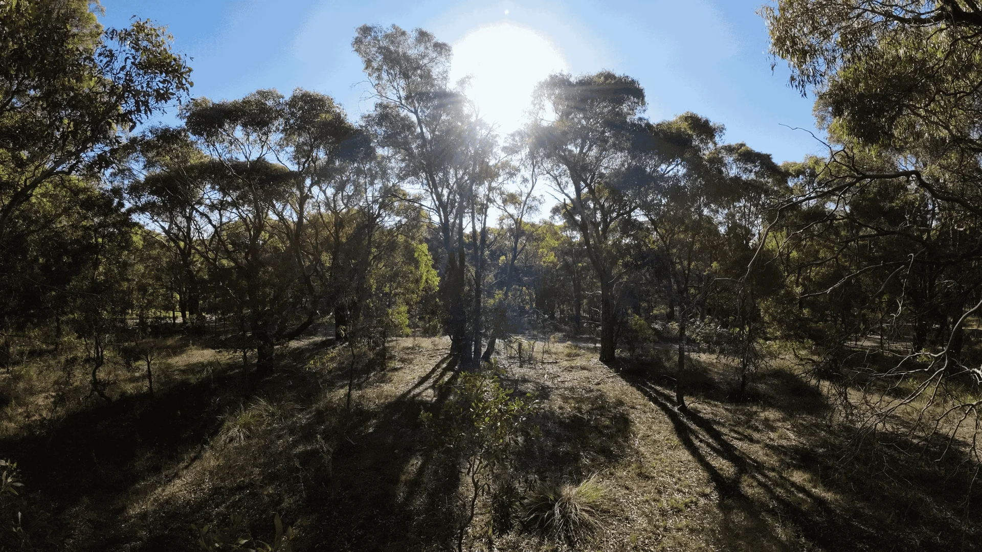 Additional image 7 of 15 & 15A Lemajics Road, Scarsdale VIC 3351