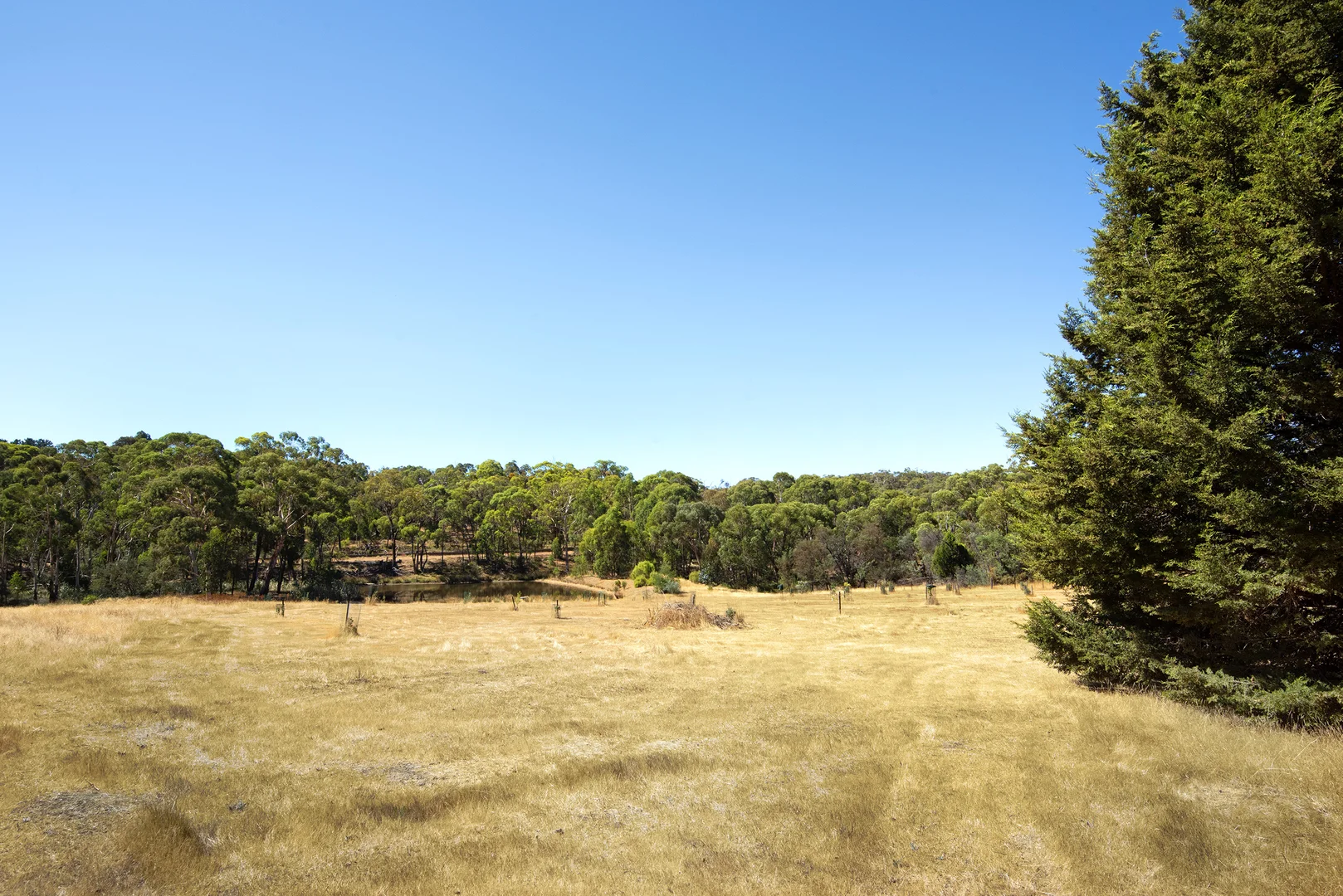 Additional image 20 of 167 Wright Street, Elphinstone VIC 3448