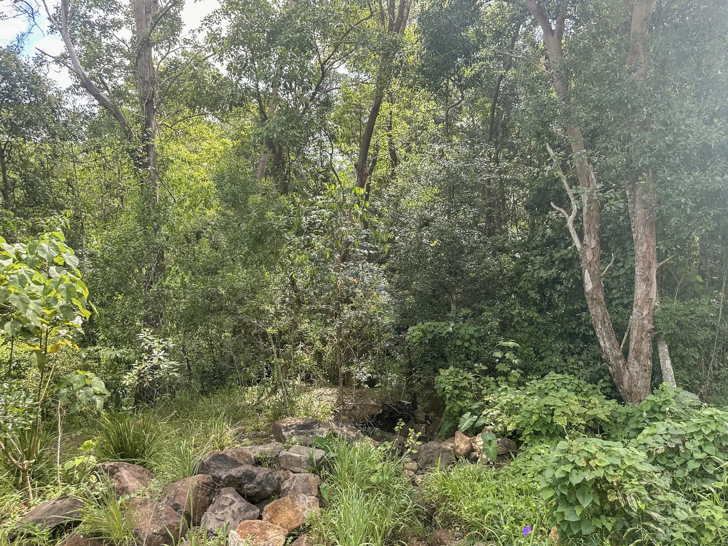 Additional image 8 of 92 Cash Road, Eumundi QLD 4562