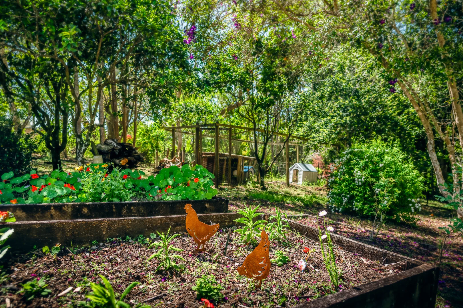 Additional image 33 of 2 Tibouchina Close, Bellingen NSW 2454