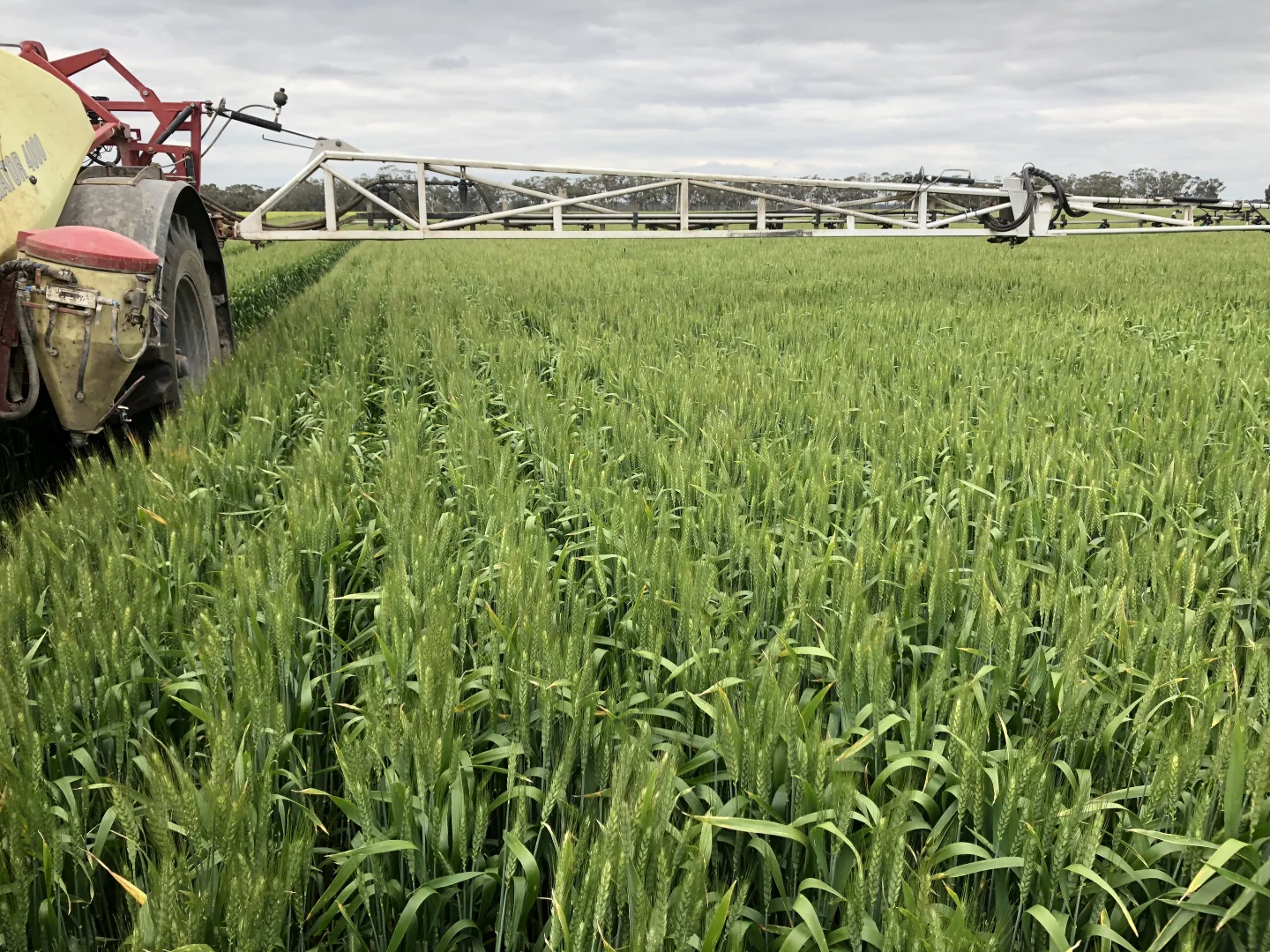 Additional image 6 of 405 Linfern Road, Buckingham Via, Mundulla SA 5270