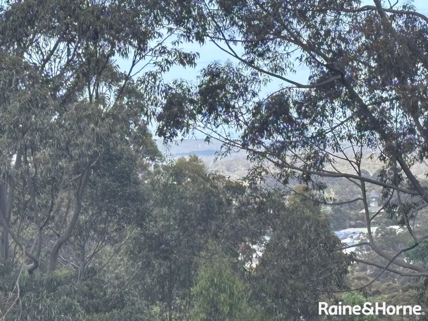 Additional image 6 of 2 Wishart Place, Denmark WA 6333