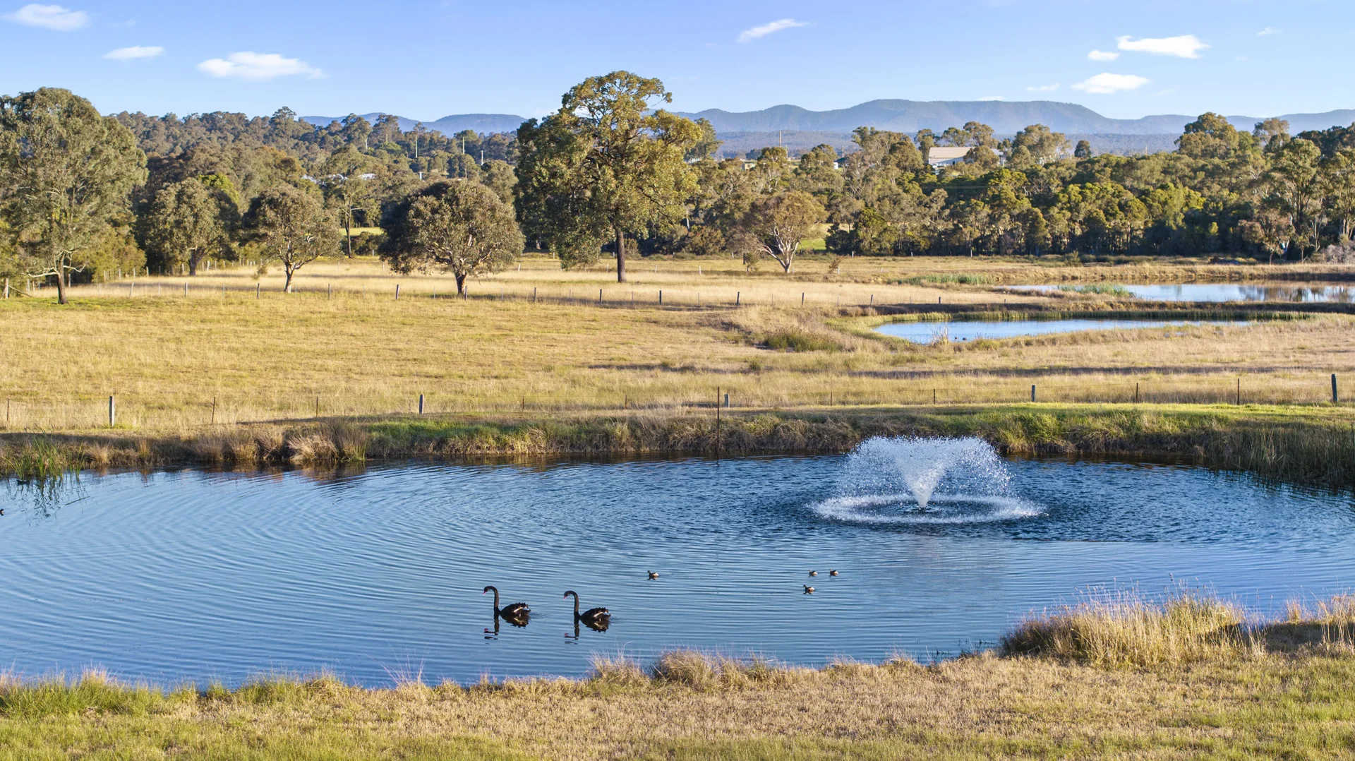 Additional image 2 of 168 Lomas Lane, Nulkaba NSW 2325