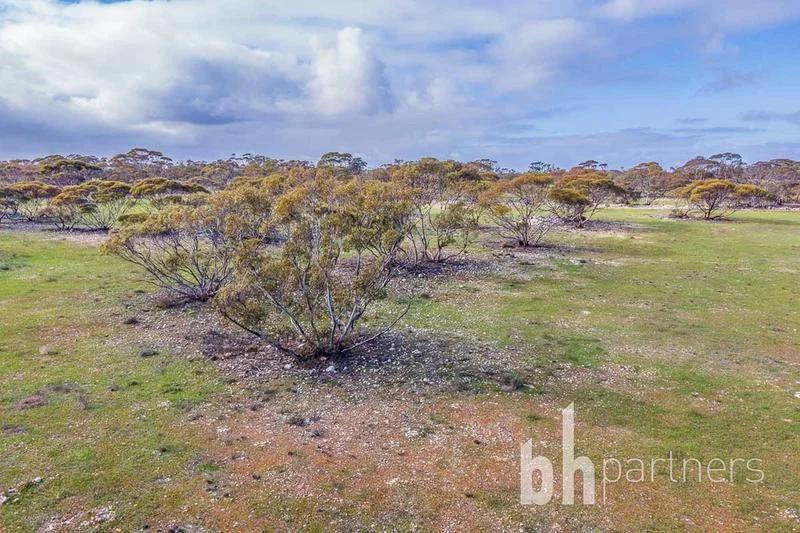 Additional image 17 of 7000 Hunter Road, Bowhill SA 5238