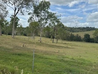 Additional image 22 of 142 PERRY RIVER FARMS RD, Morganville QLD 4671
