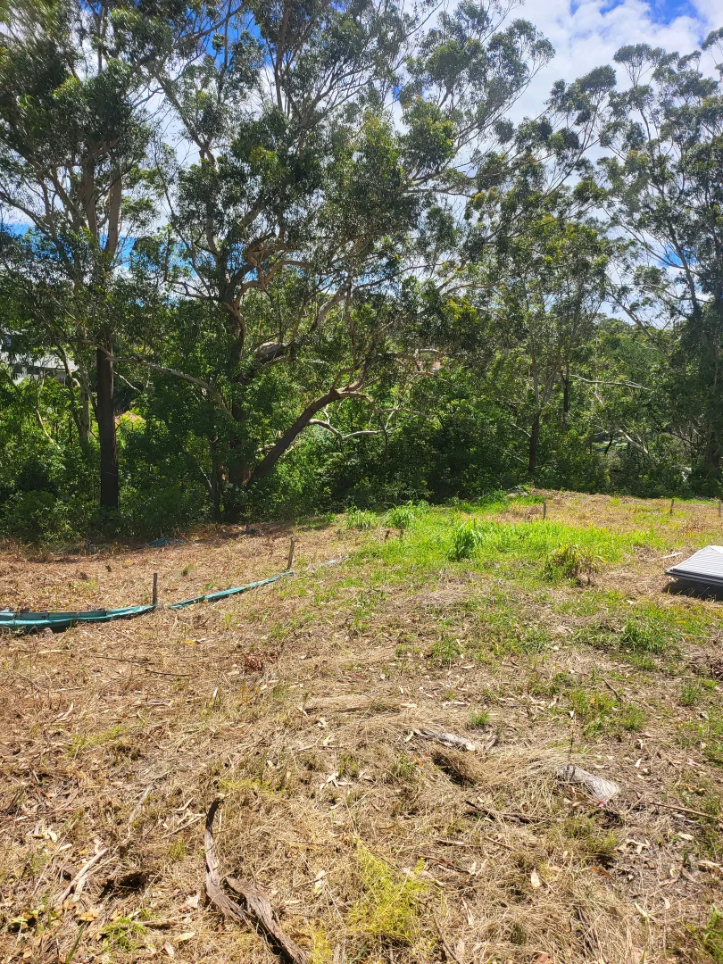 Additional image 18 of 49 Numrock Street, Bomaderry NSW 2541