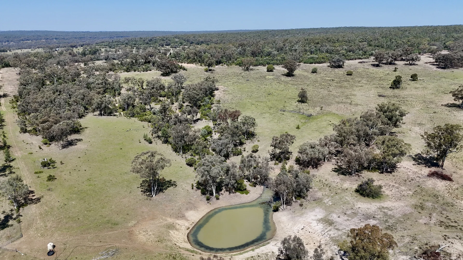 Additional image 8 of "Calamity"/1385 Mosquito Creek Road, Warialda NSW 2402