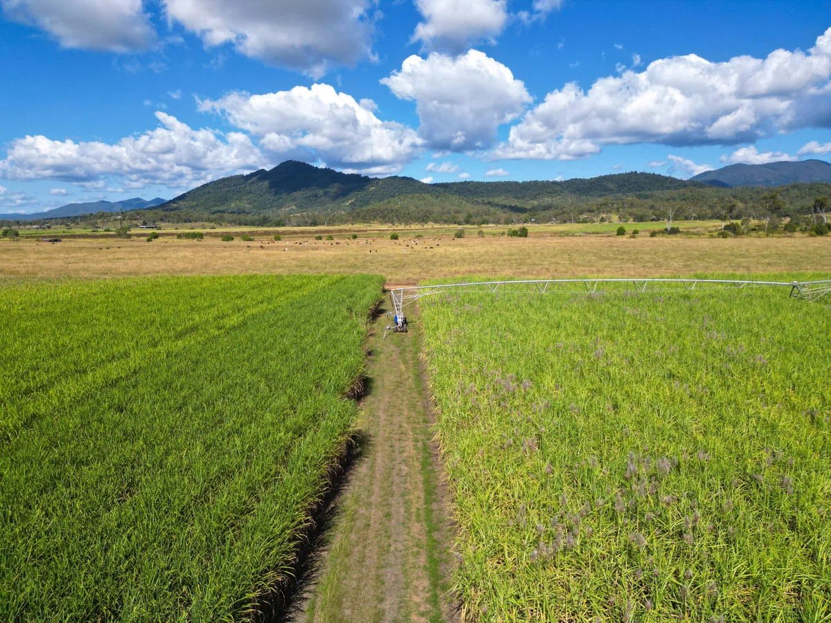 Additional image 7 of Lot 4 Marge Camerons Road, Marian QLD 4753