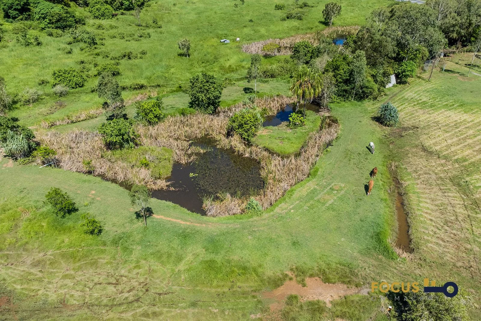 Additional image 5 of 979 Hay Point Rd, Hay Point QLD 4740