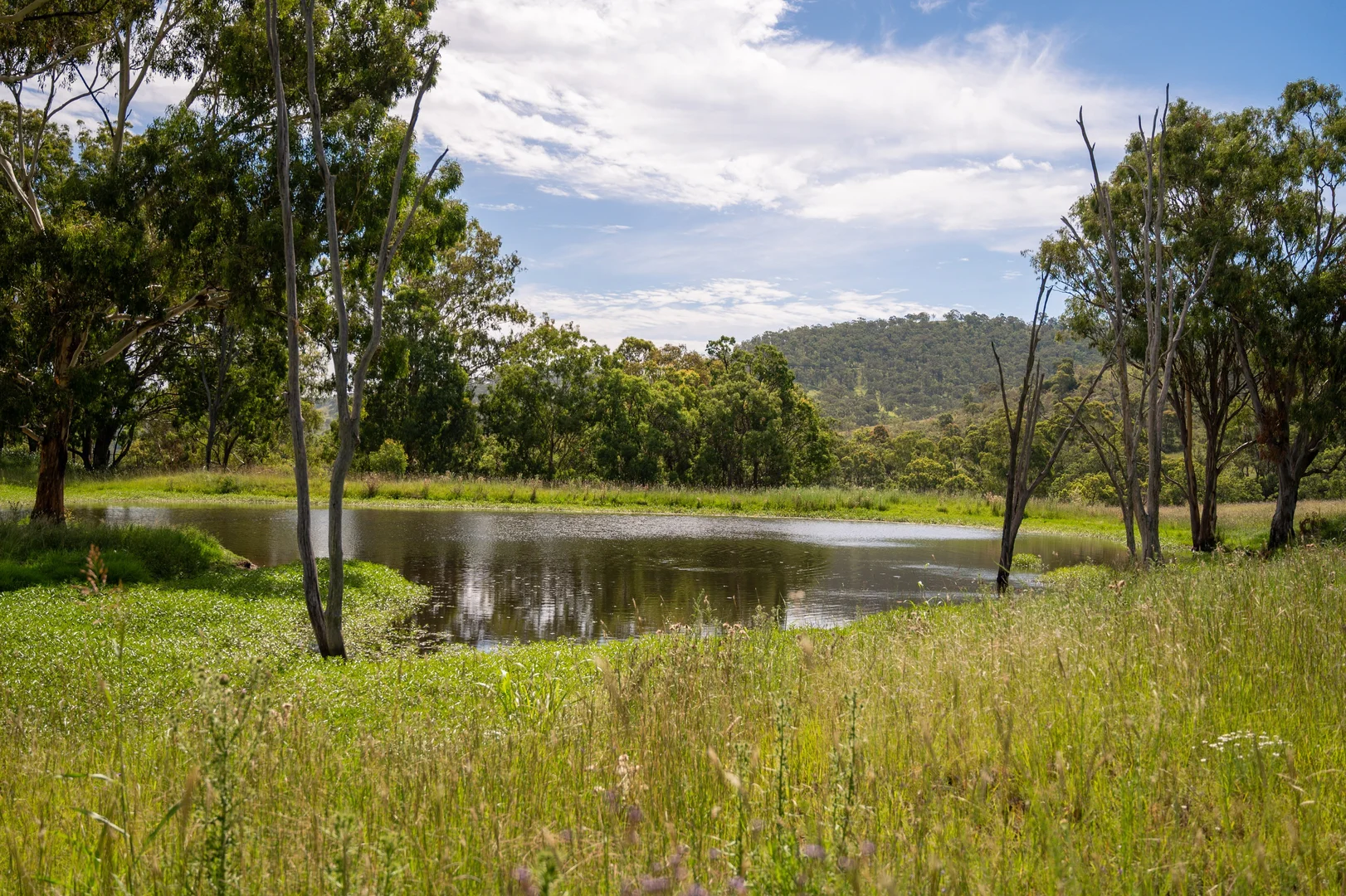 Additional image 26 of 1006 North Branch Road, Goomburra QLD 4362