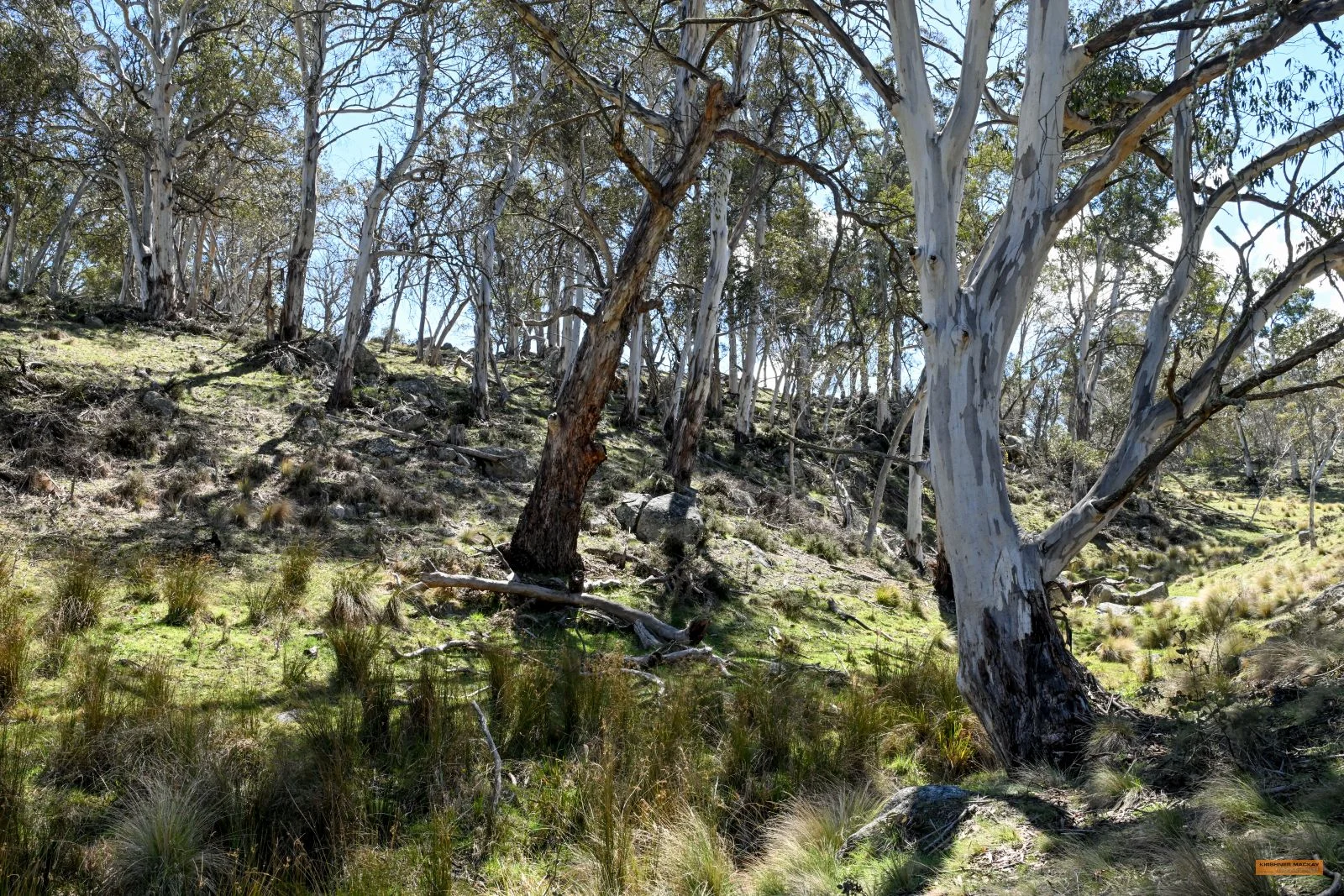 Additional image 23 of "King's Ridge" 698 Avonside Road, Avonside NSW 2628