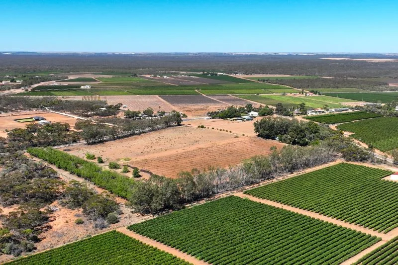 Additional image 29 of 491 Dalziel Road, Winkie SA 5343