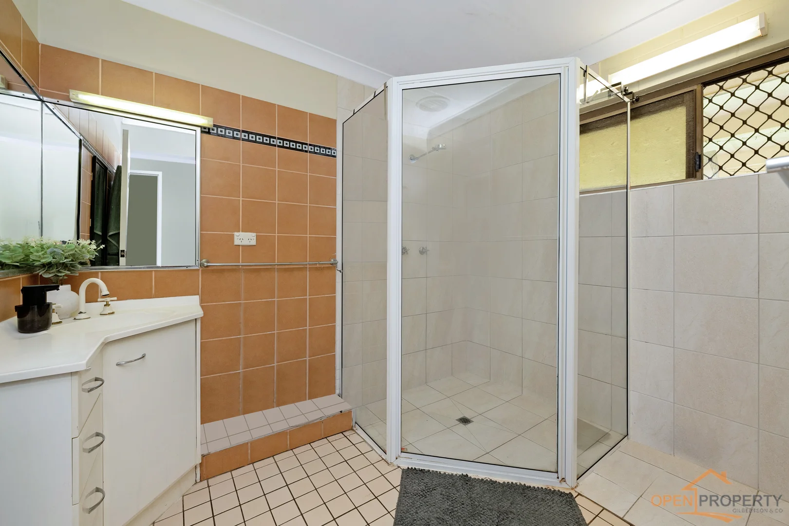 Additional image 5 of 31 Frank St, Kirwan QLD 4817