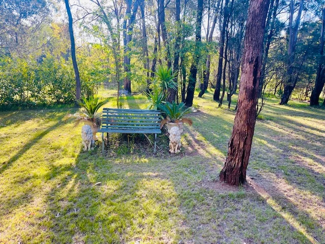 Additional image 2 of 40 Koala Crescent, Coonabarabran NSW 2357