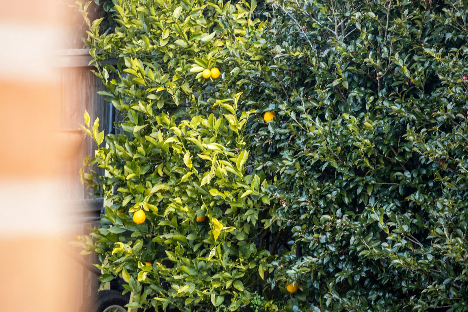 Additional image 12 of 10 Tomley Street, Moss Vale NSW 2577