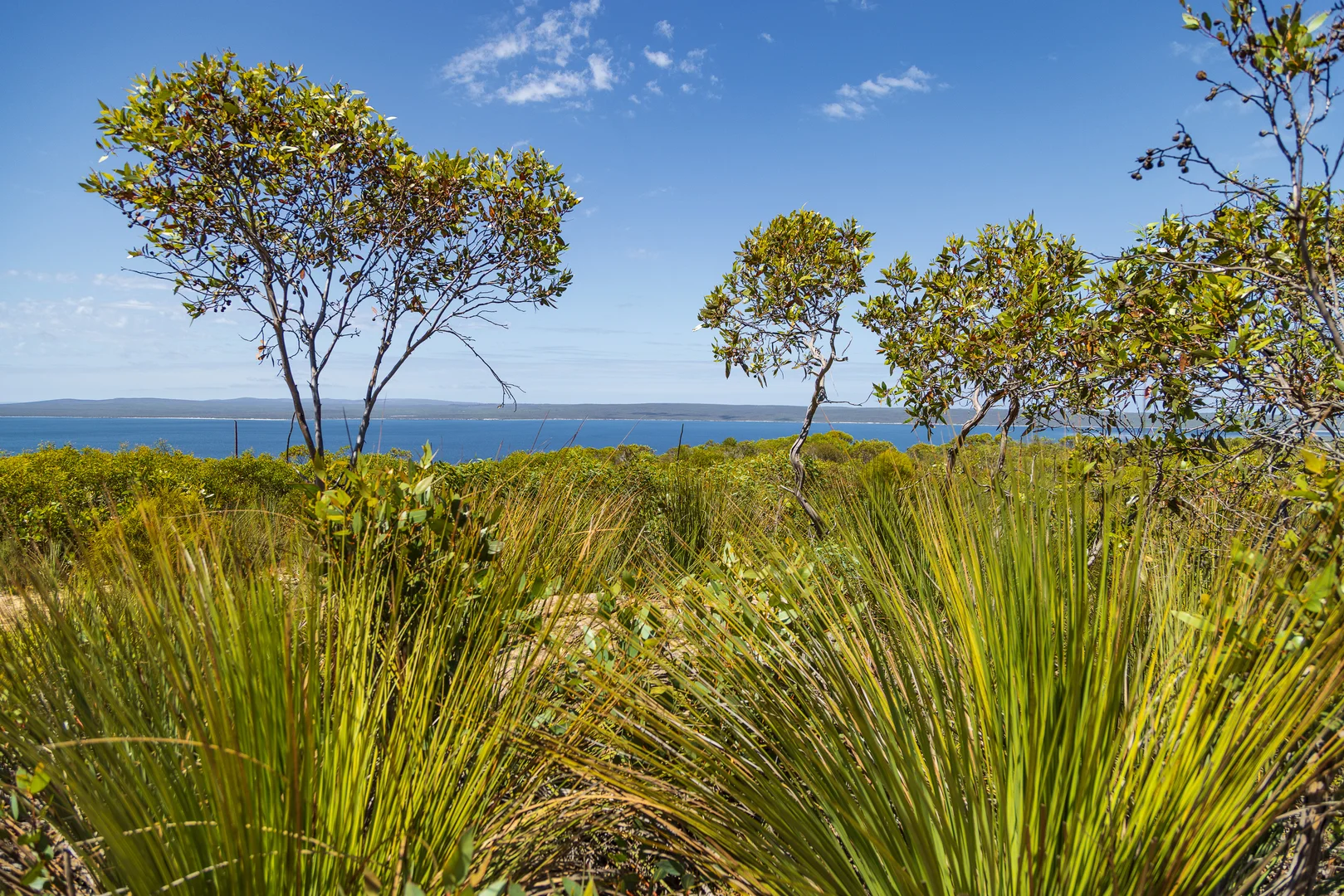 Additional image 16 of 2 Proper Bay Road, Duck Ponds SA 5607