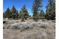 Additional image 5 of 5-3 Hogan Dr Lot 162, Weed, CA, 96094