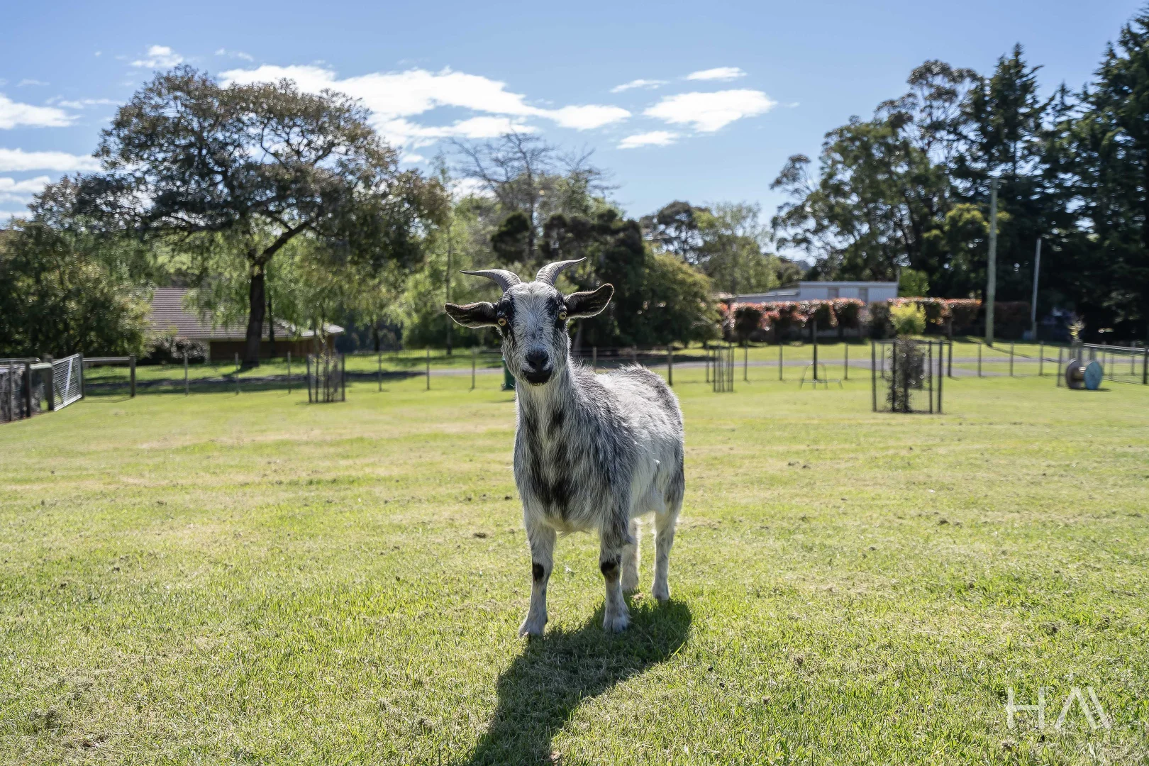 Additional image 23 of 11 James Street, Forth TAS 7310