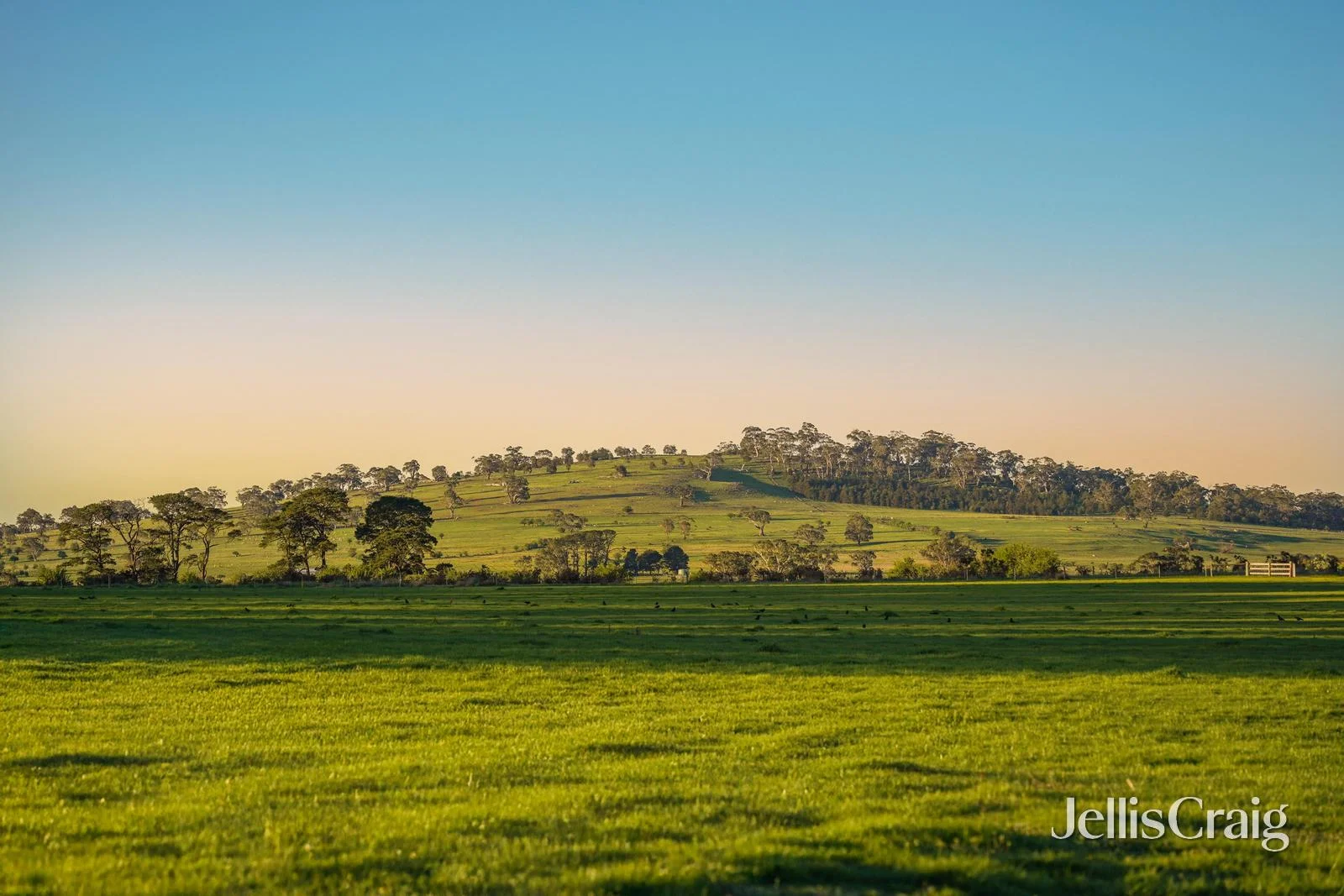 Additional image 3 of Lots 1-4 Rollinsons Road, Greenhill VIC 3444