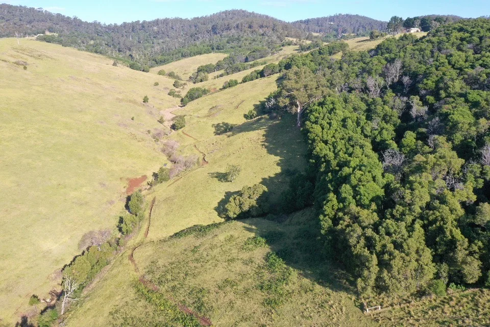 Additional image 10 of Lot 23 Fourter Road, Nethercote NSW 2549