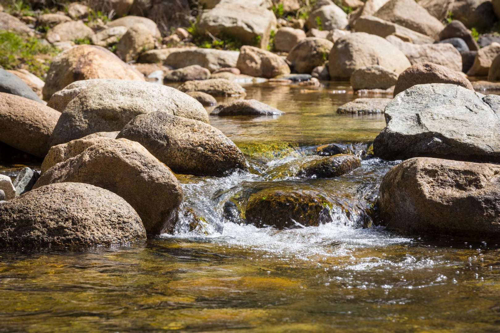 Additional image 8 of 1838 Big Jack Mountain Road, Rocky Hall NSW 2550
